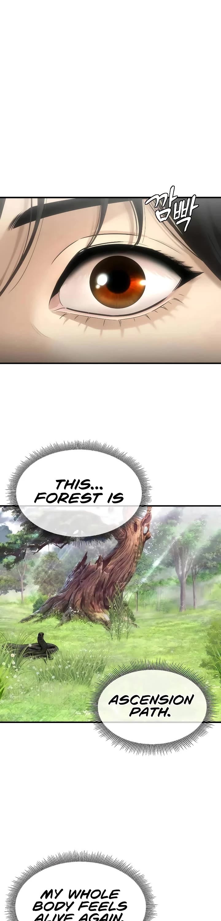A Regressor's Tale of Cultivation Chapter 8 page 2 - Chapter 8: 2nd Regression