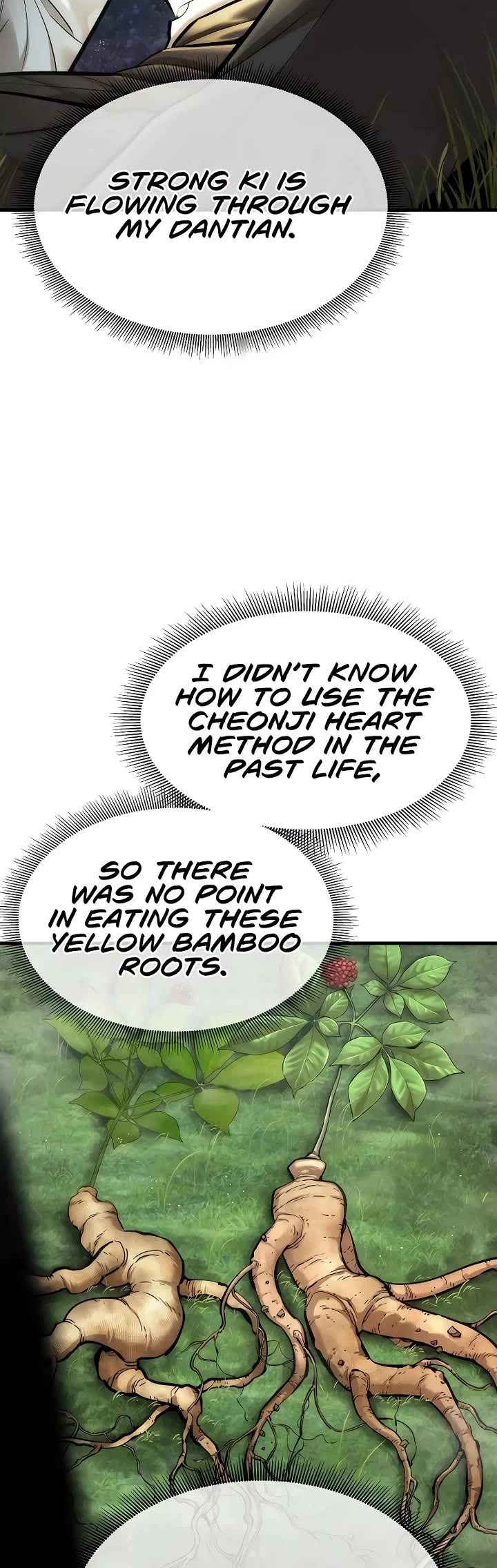 A Regressor's Tale of Cultivation Chapter 8 page 29 - Chapter 8: 2nd Regression