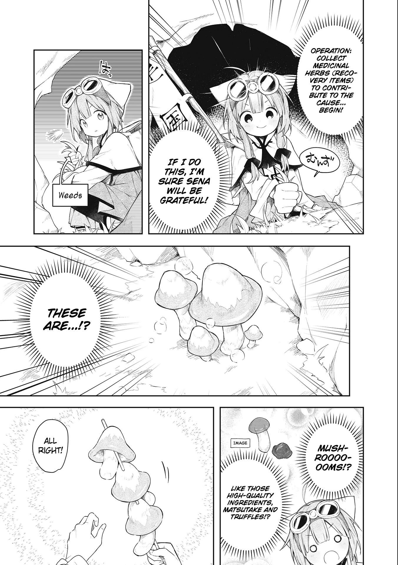 A Ruined Princess and Alternate World Hero Make a Great Country! Chapter 1.1 page 16 - Chapter 1.1: Mission 1: Make a Dining Table (1)