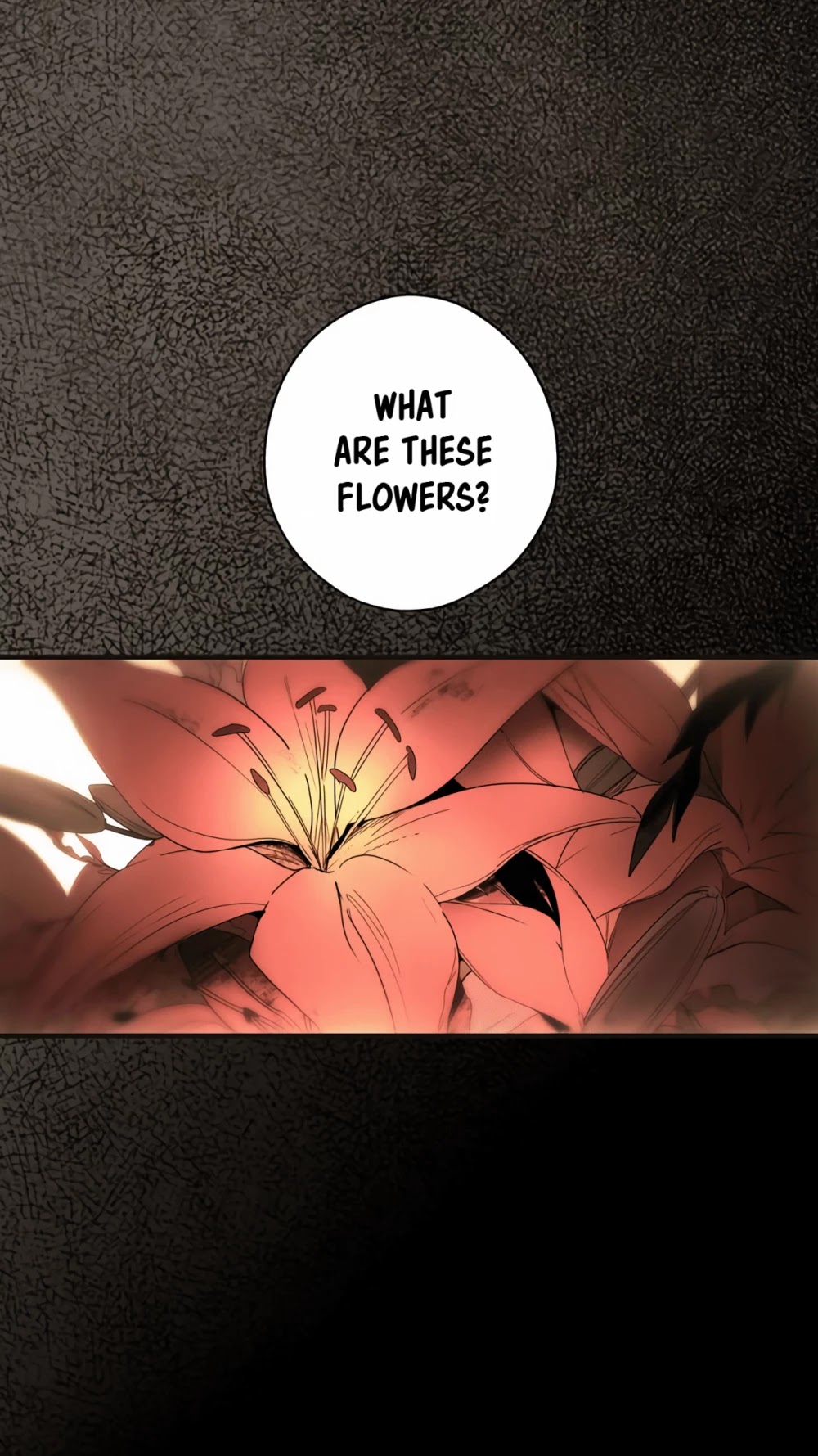 A Stepmother's Fairy Tale Chapter 57 page 9 - Chapter 57: Epilogue - The Ending of a Fairy tail