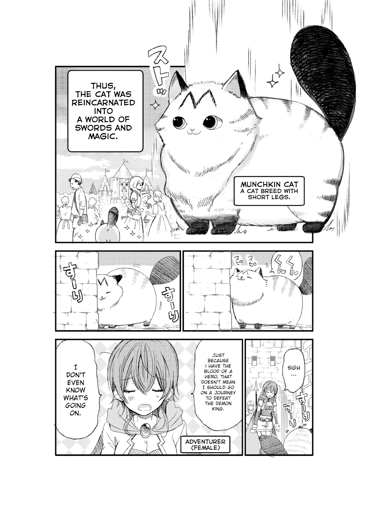 A Story about a Cat Reincarnated in a Different World Where There are no Cats. Chapter 1 page 2 - Chapter 1