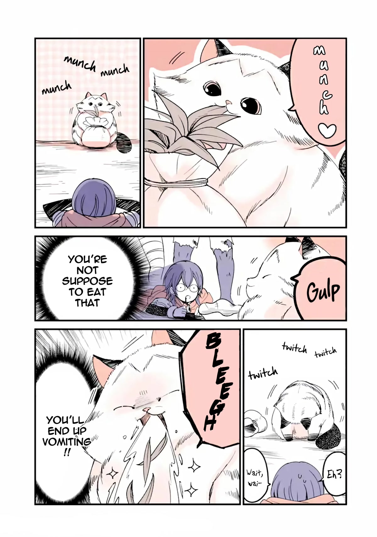 A Story about a Cat Reincarnated in a Different World Where There are no Cats. Chapter 13 page 3 - Chapter 13