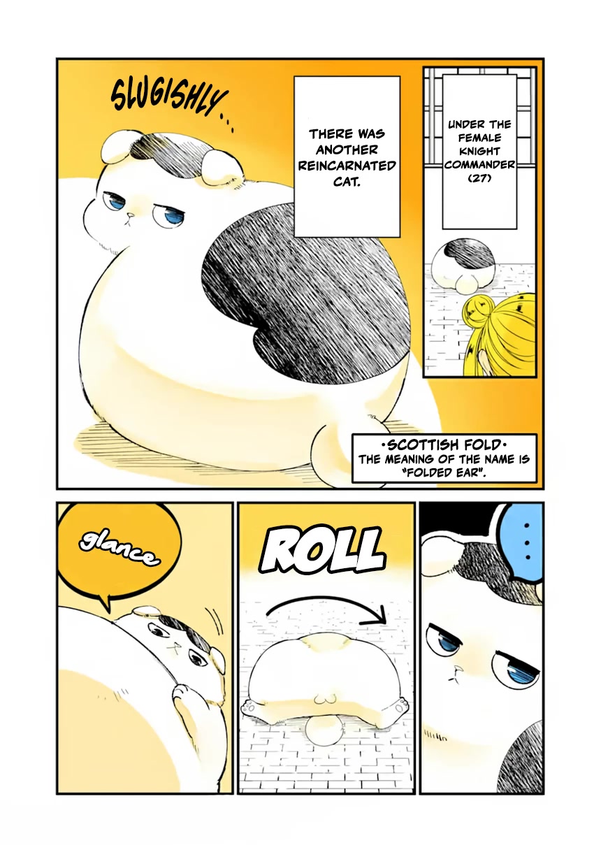 A Story about a Cat Reincarnated in a Different World Where There are no Cats. Chapter 14 page 3 - Chapter 14