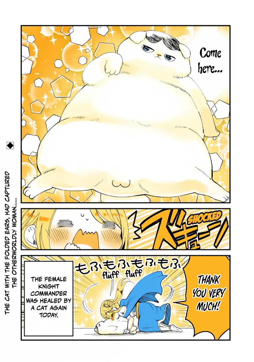 A Story about a Cat Reincarnated in a Different World Where There are no Cats. Chapter 14 page 4 - Chapter 14