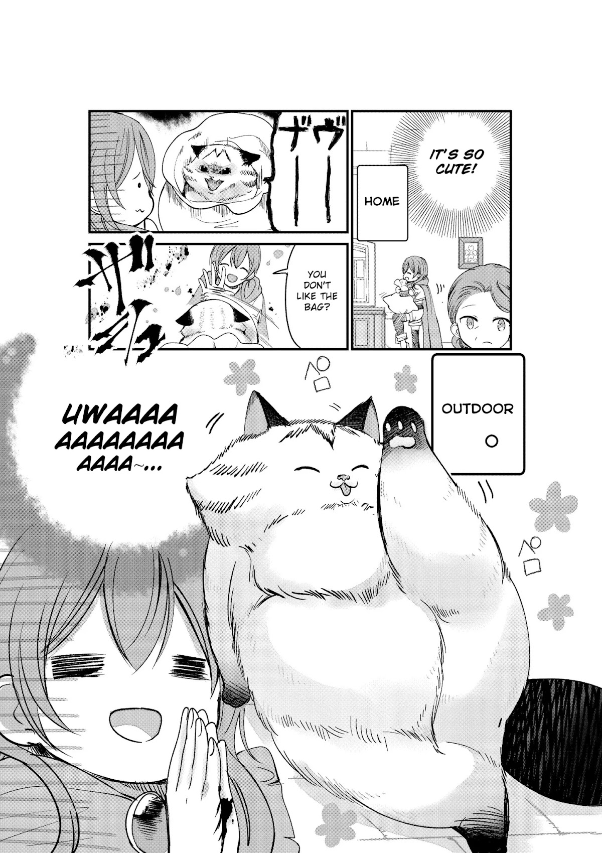 A Story about a Cat Reincarnated in a Different World Where There are no Cats. Chapter 2 page 3 - Chapter 2
