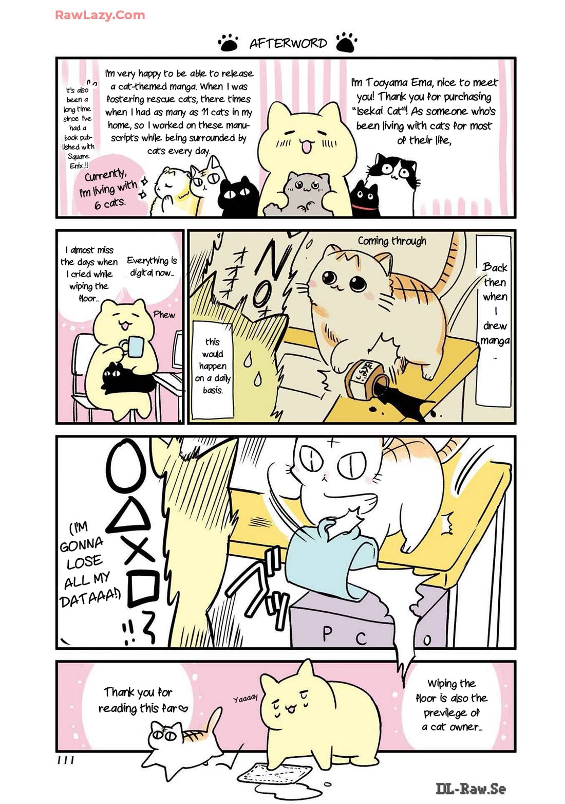 A Story about a Cat Reincarnated in a Different World Where There are no Cats. Chapter 23.5 page 9 - Chapter 23.5: Bonus + Afterword