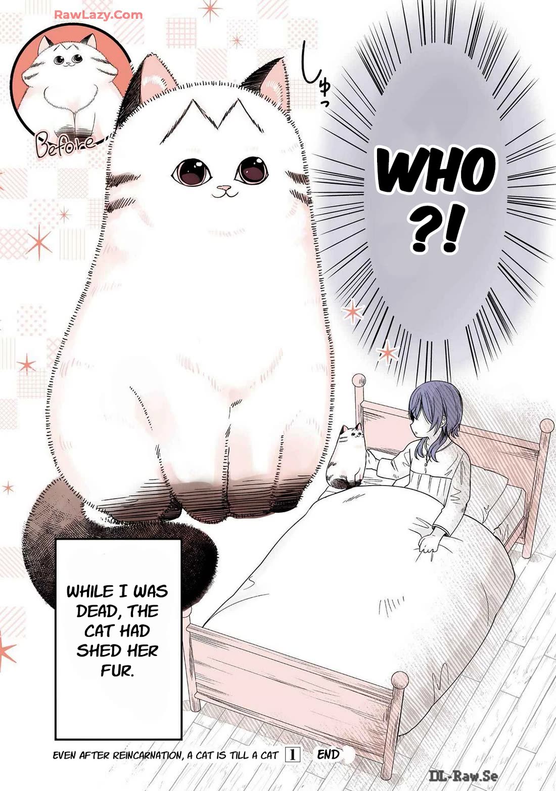 A Story about a Cat Reincarnated in a Different World Where There are no Cats. Chapter 23 page 3 - Chapter 23