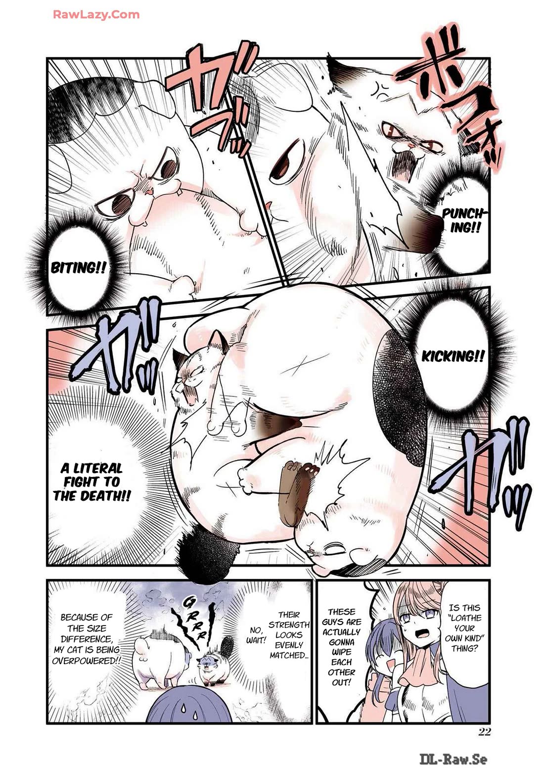 A Story about a Cat Reincarnated in a Different World Where There are no Cats. Chapter 28 page 2 - Chapter 28