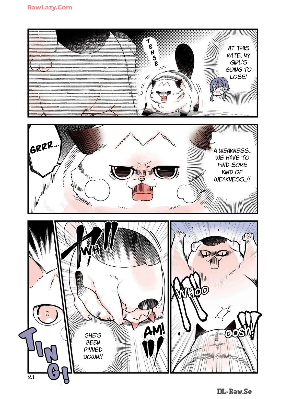A Story about a Cat Reincarnated in a Different World Where There are no Cats. Chapter 28 page 3 - Chapter 28