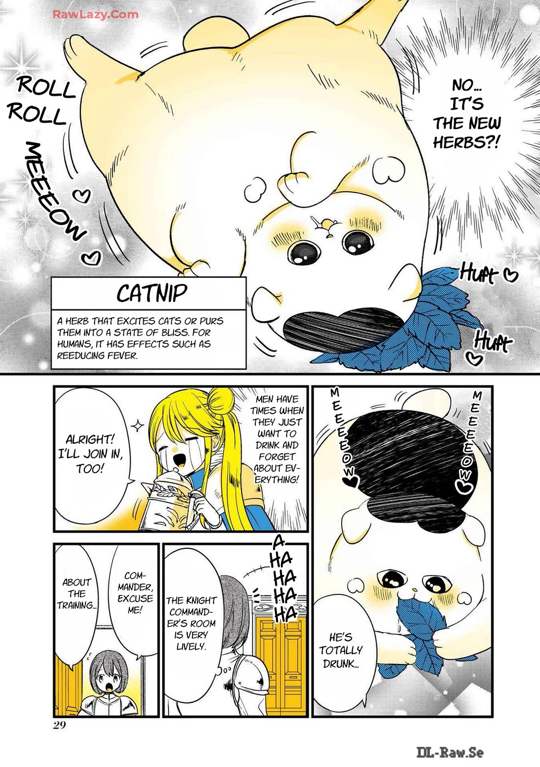A Story about a Cat Reincarnated in a Different World Where There are no Cats. Chapter 29 page 3 - Chapter 29