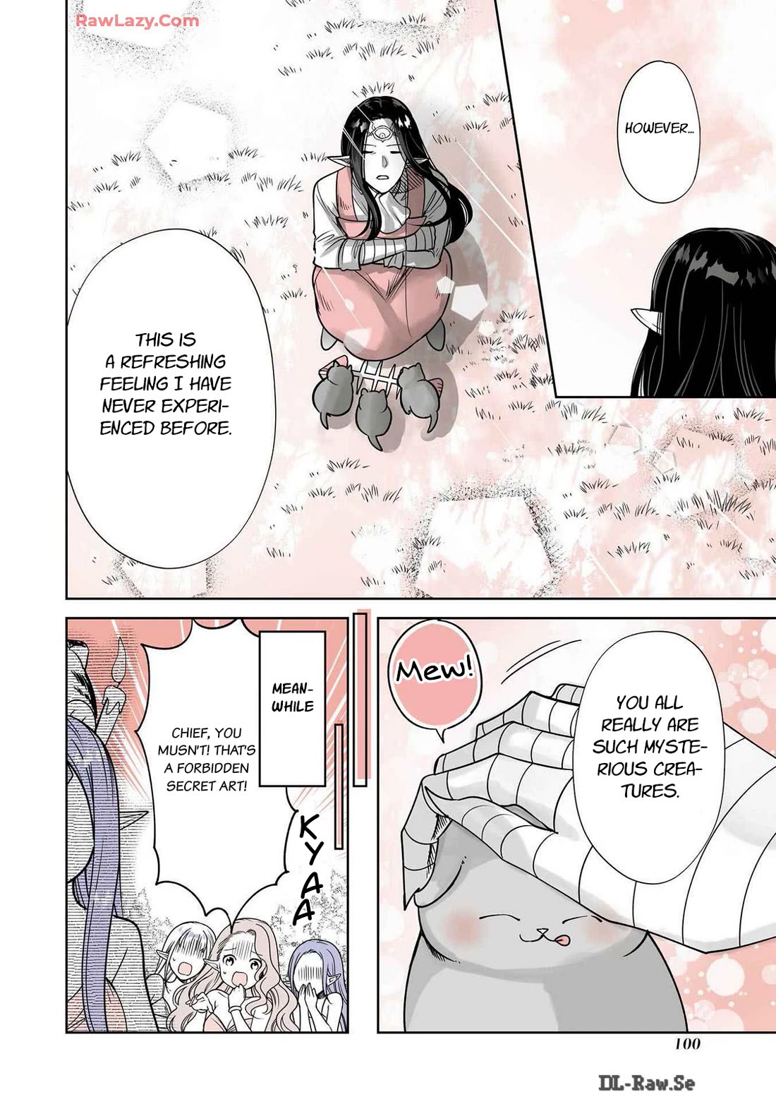 A Story about a Cat Reincarnated in a Different World Where There are no Cats. Chapter 41 page 6 - Chapter 41