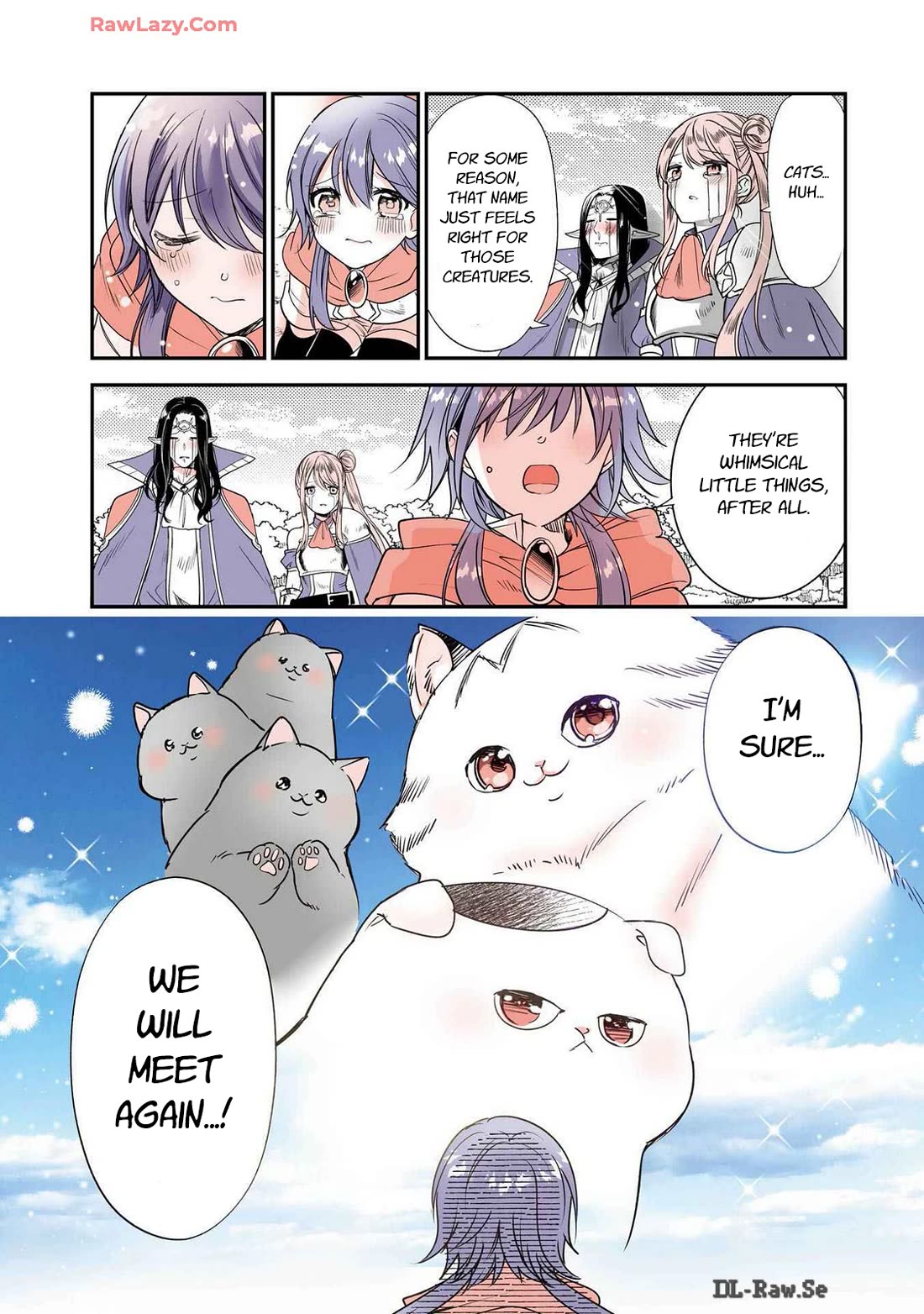 A Story about a Cat Reincarnated in a Different World Where There are no Cats. Chapter 43 page 11 - Chapter 43