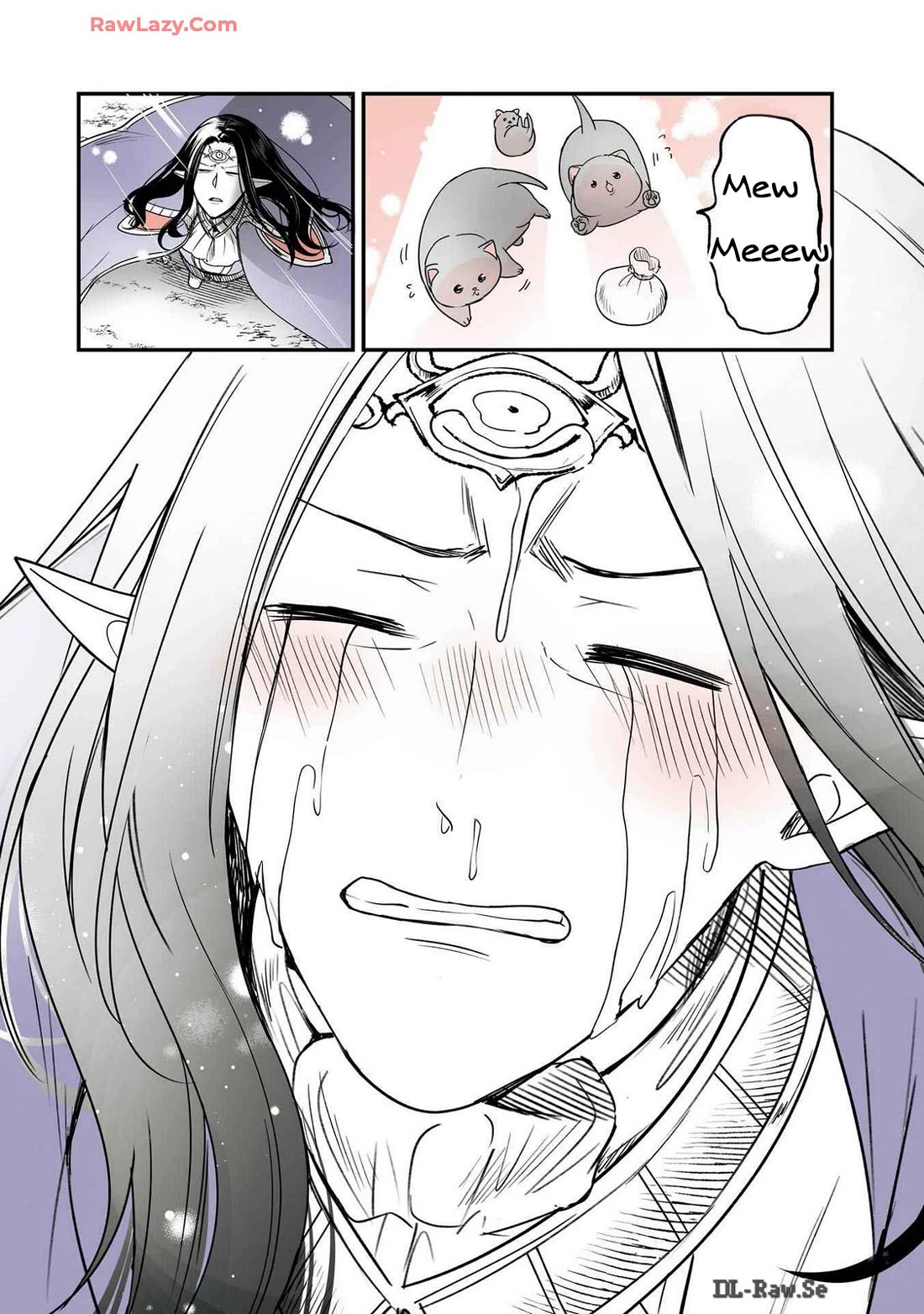 A Story about a Cat Reincarnated in a Different World Where There are no Cats. Chapter 43 page 8 - Chapter 43