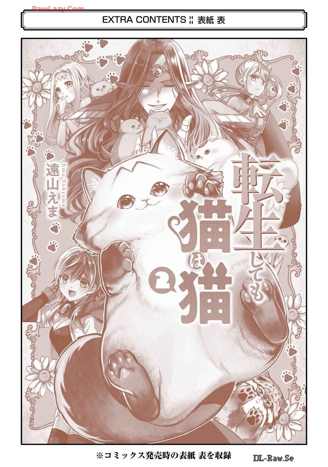 A Story about a Cat Reincarnated in a Different World Where There are no Cats. Chapter 44.5 page 4 - Chapter 44.5: Afterword