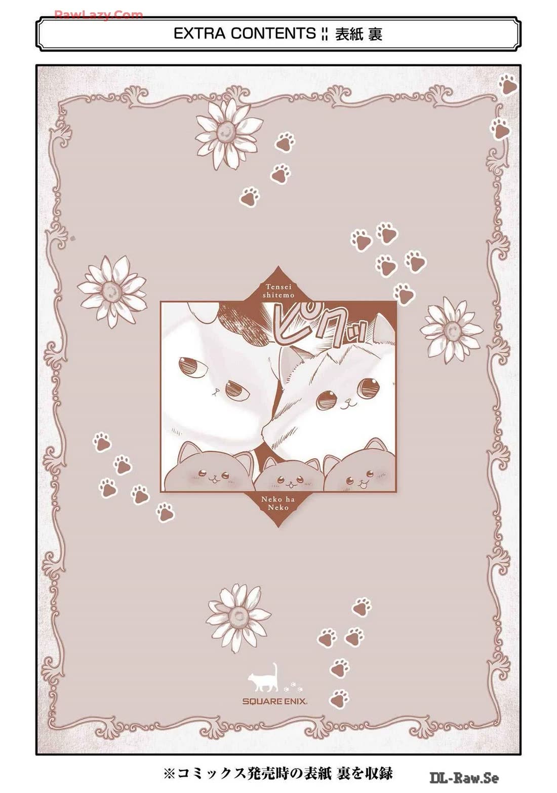 A Story about a Cat Reincarnated in a Different World Where There are no Cats. Chapter 44.5 page 5 - Chapter 44.5: Afterword