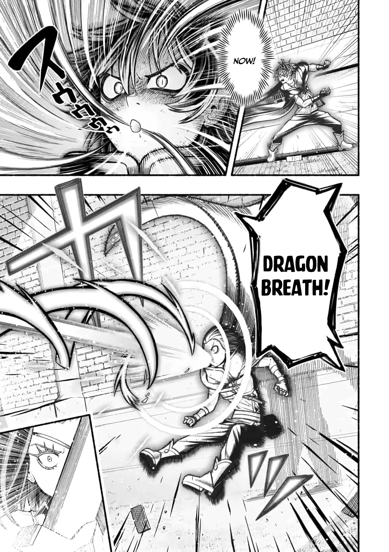 A Story About a Dragon and the Rising of an Adventurer Chapter 12 page 20 - Chapter 12: Former S-Rank
