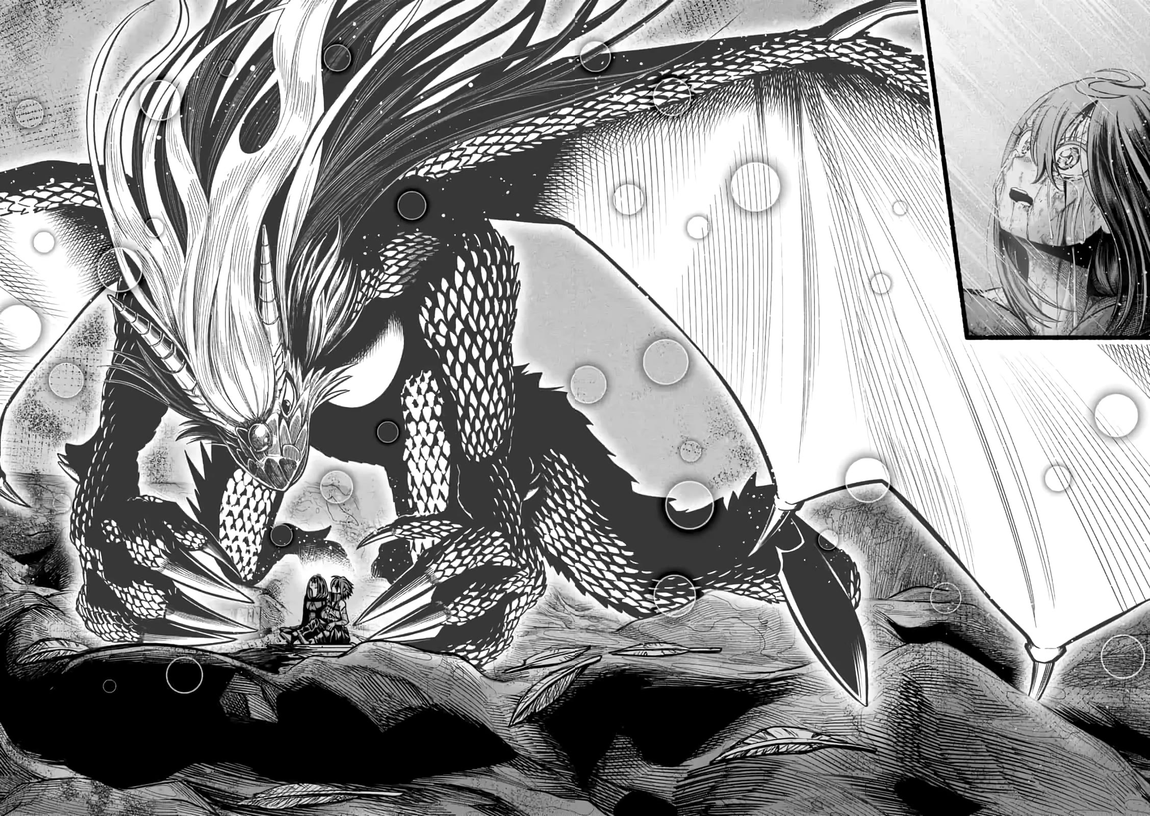 A Story About a Dragon and the Rising of an Adventurer Chapter 15 page 25 - Chapter 15: Kale