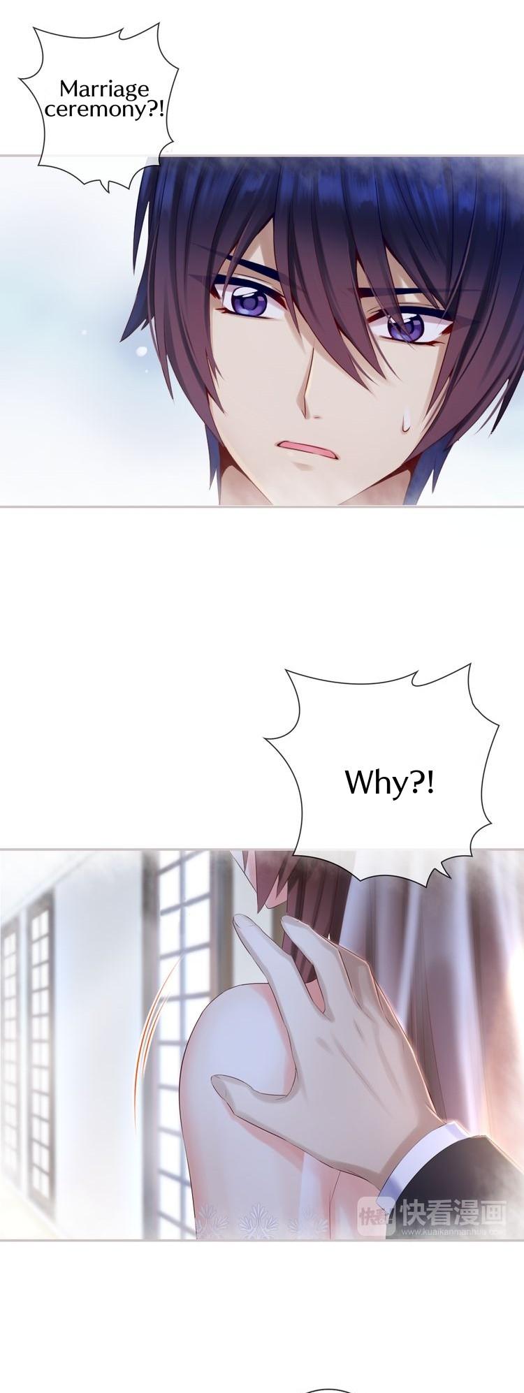 A Taste of Love Chapter 45 page 14 - Chapter 45: A purposeful wedding