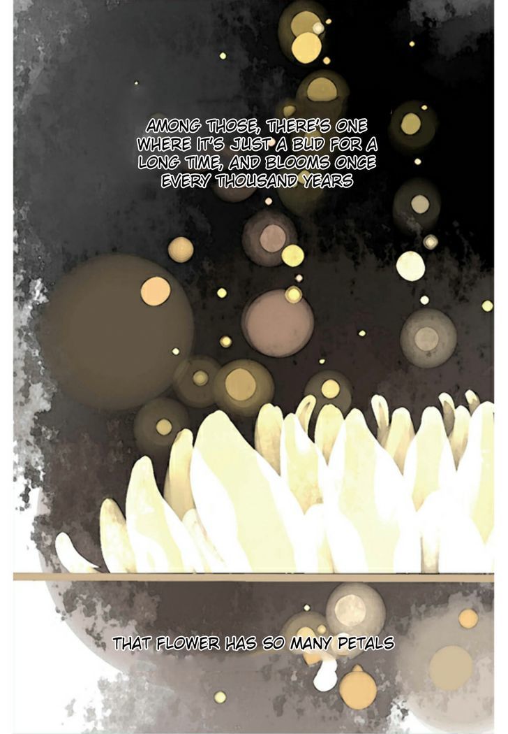 A Thousand Petals Chapter 2 page 11 - Chapter 2
