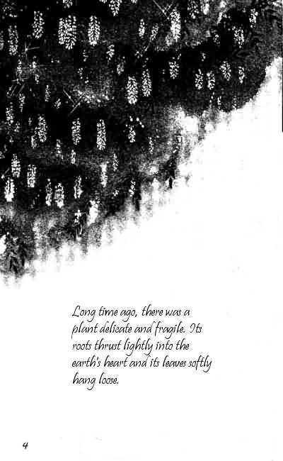 A Thousand Year Love of Acacia Chapter 1 page 4 - Chapter 1