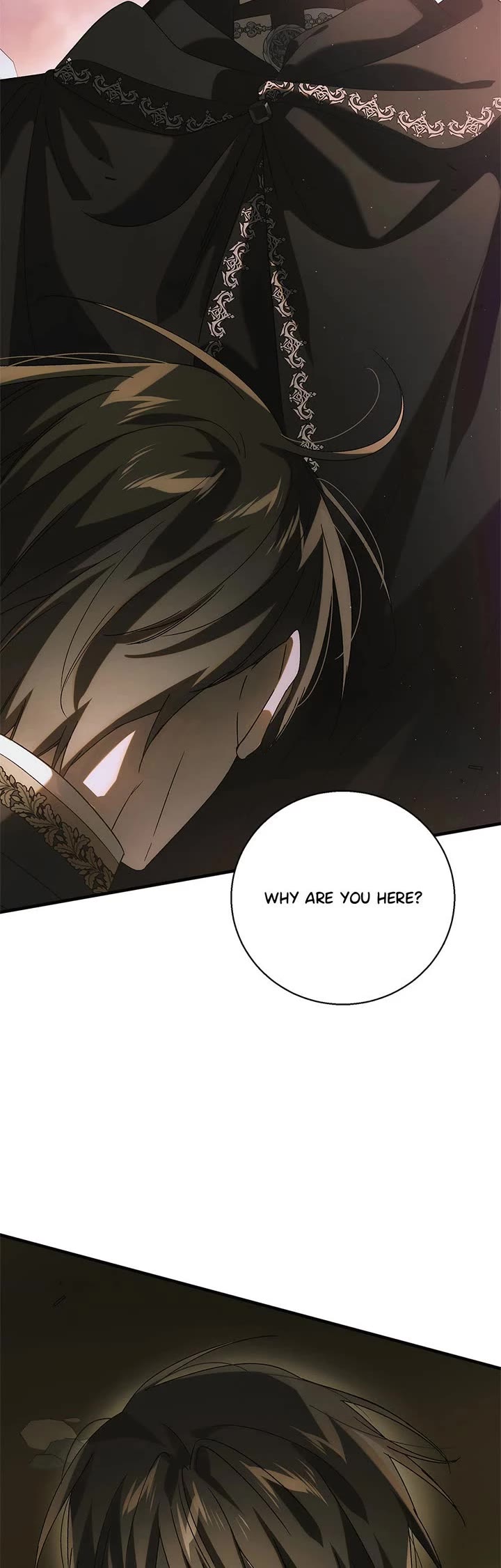 A Way to Protect the Lovable You Chapter 129 page 10 - Chapter 129: End of Main Story