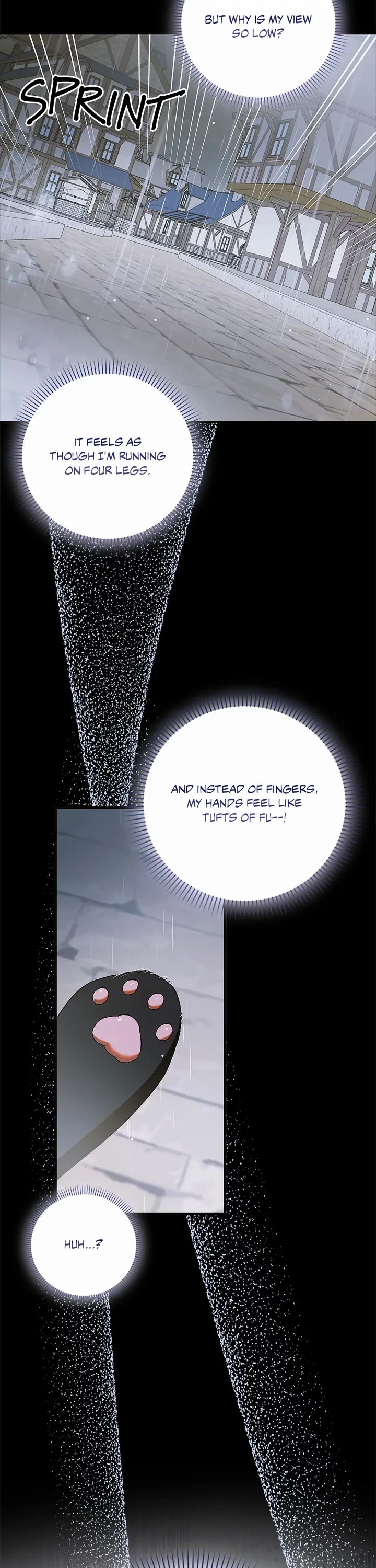A Way to Protect the Lovable You Chapter 159 page 36 - Chapter 159: Special Episode 30
