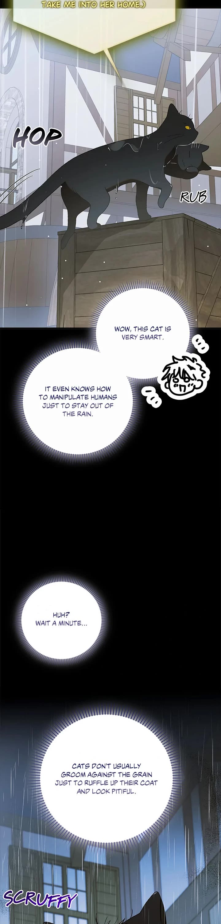 A Way to Protect the Lovable You Chapter 159 page 38 - Chapter 159: Special Episode 30