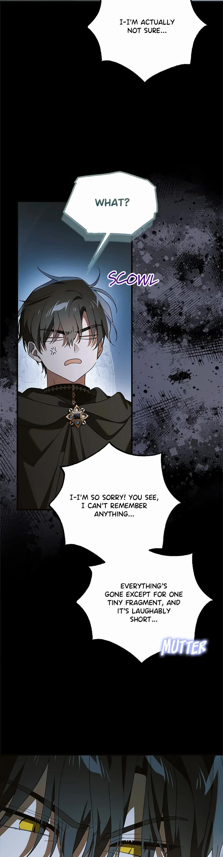 A Way to Protect the Lovable You Chapter 162 page 14 - Chapter 162: Special Episode 33
