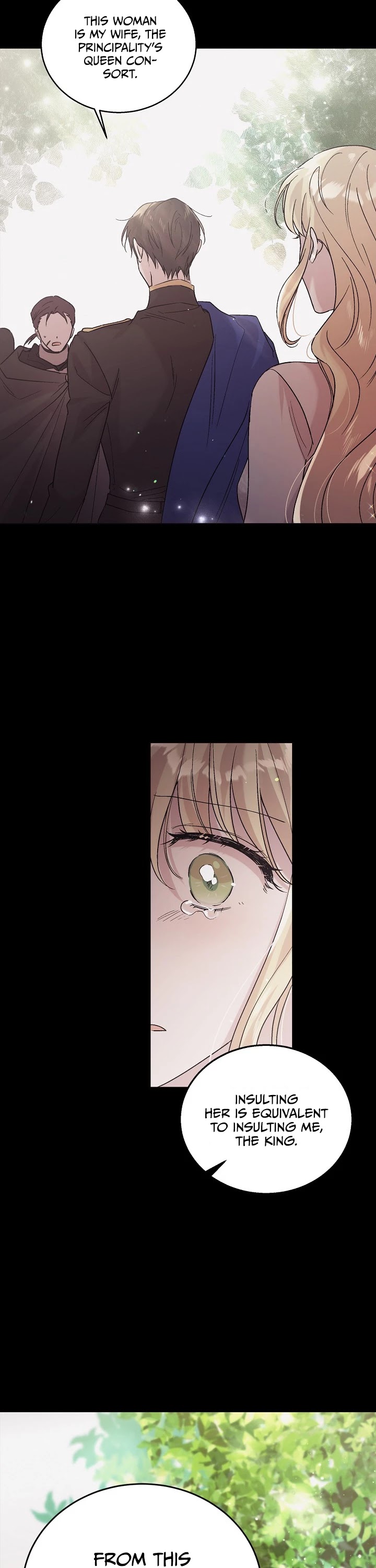 A Way to Protect the Lovable You Chapter 29 page 14 - Chapter 29