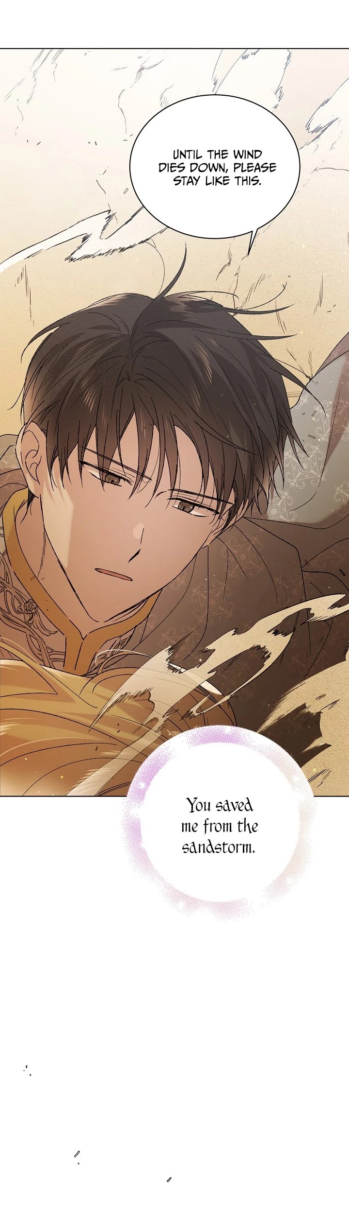 A Way to Protect the Lovable You Chapter 33 page 25 - Chapter 33