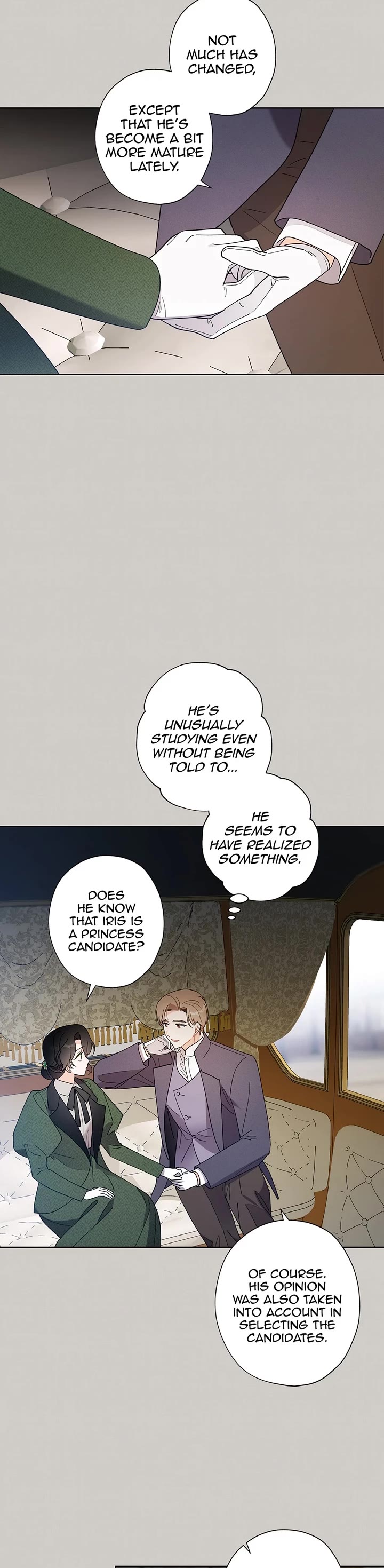 A Wicked Tale of Cinderella's Stepmom Chapter 116 page 14 - Chapter 116: An Embroidered Story