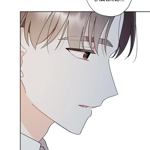 A Wicked Tale of Cinderella's Stepmom Chapter 87: May I Kiss You? cover