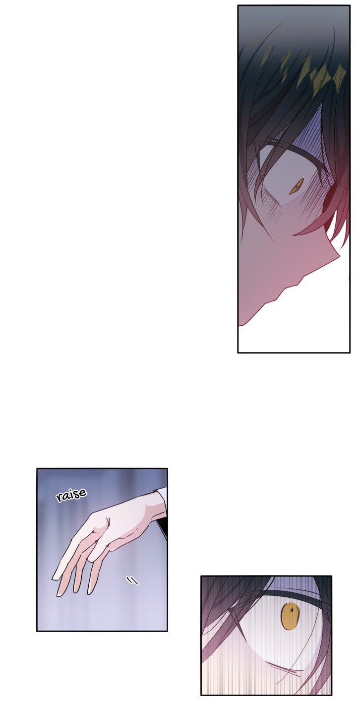 A Witch's Hopeless Wish Chapter 12 page 11 - Chapter 12