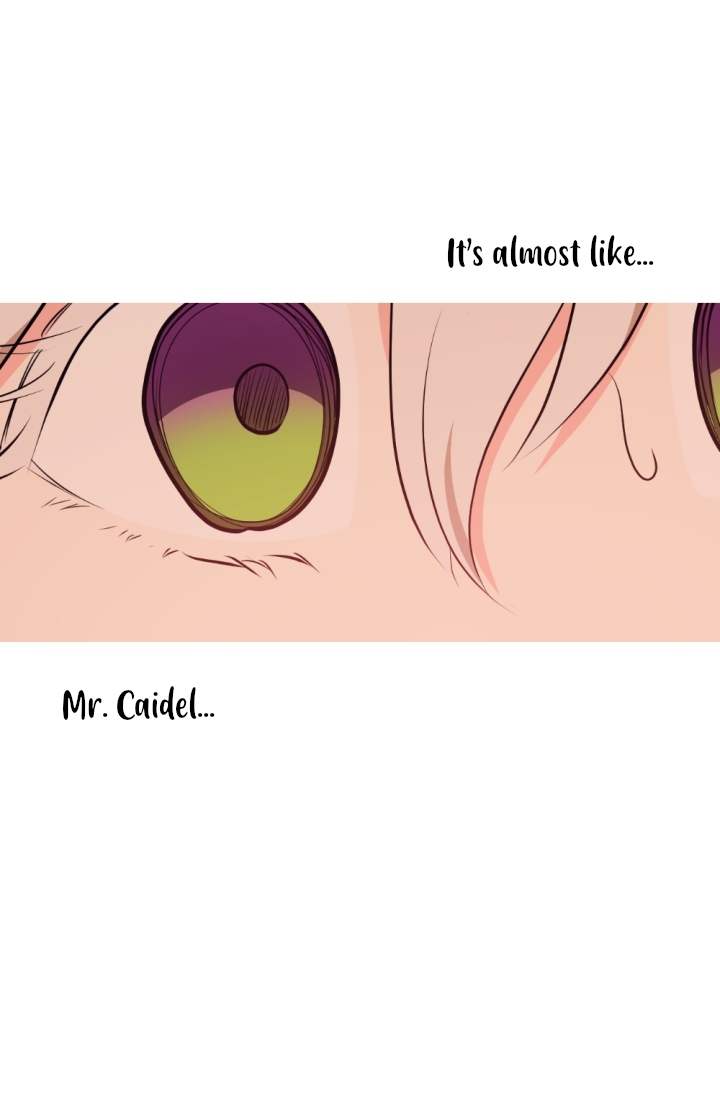 A Witch's Hopeless Wish Chapter 36 page 12 - Chapter 36
