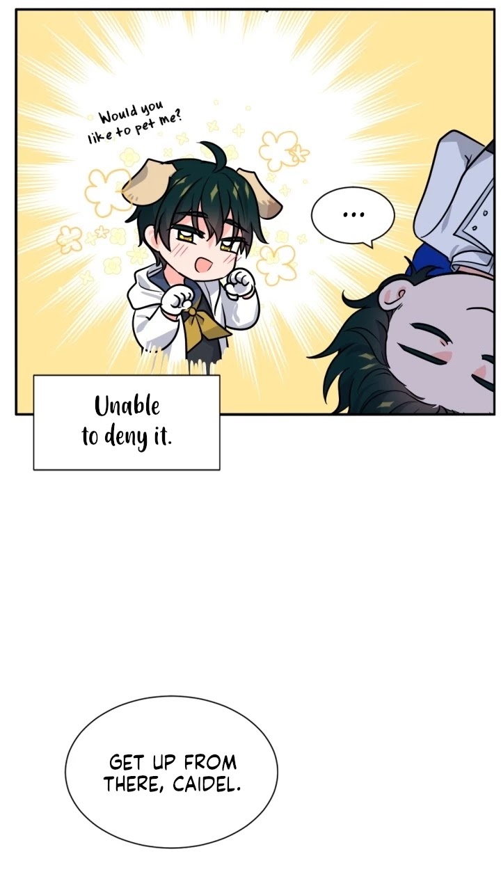 A Witch's Hopeless Wish Chapter 41 page 15 - Chapter 41