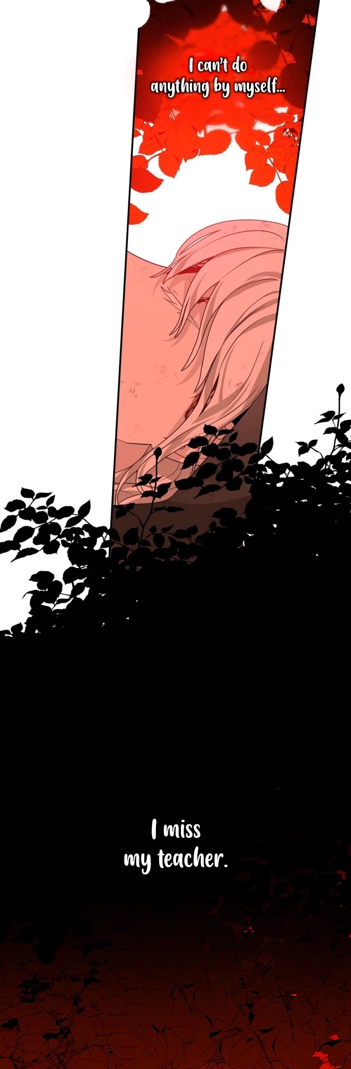A Witch's Hopeless Wish Chapter 47 page 24 - Chapter 47