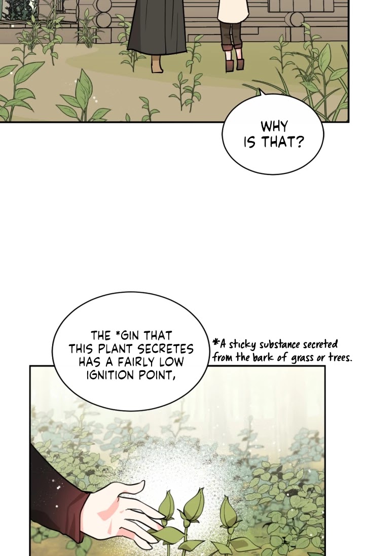 A Witch's Hopeless Wish Chapter 48 page 26 - Chapter 48