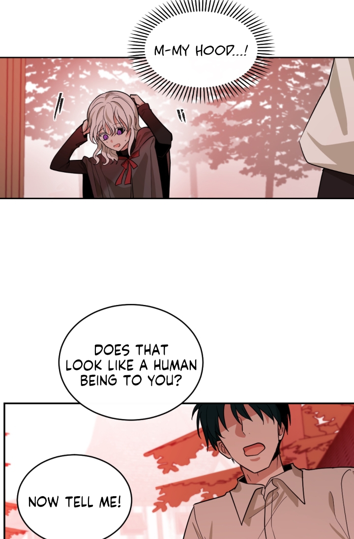 A Witch's Hopeless Wish Chapter 48 page 39 - Chapter 48