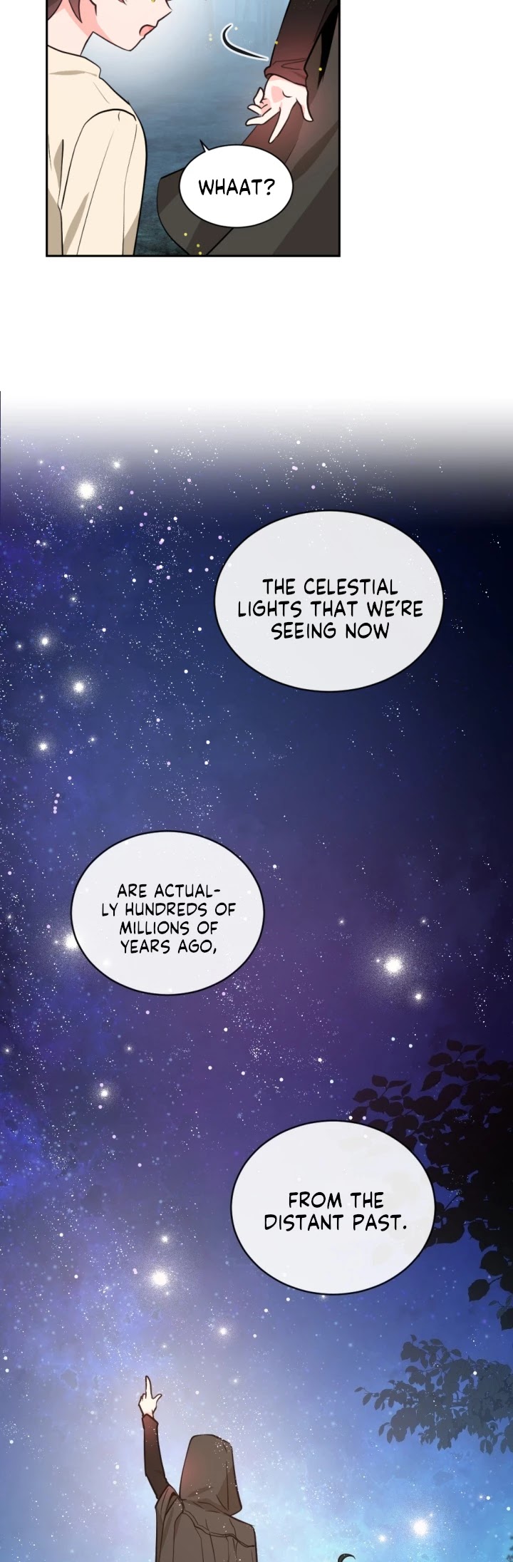 A Witch's Hopeless Wish Chapter 48 page 9 - Chapter 48