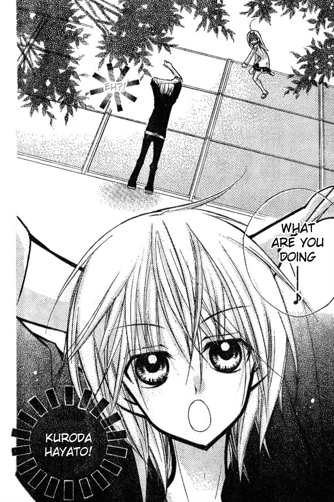 AAA Chapter 2 page 6 - Chapter 2