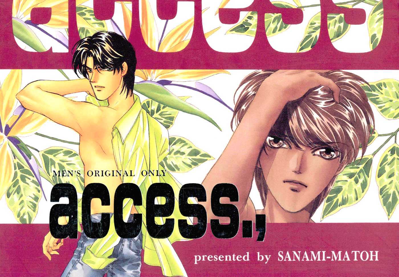 Access Chapter 3.0-2 page 18 - Vol.3 Chapter 0.2