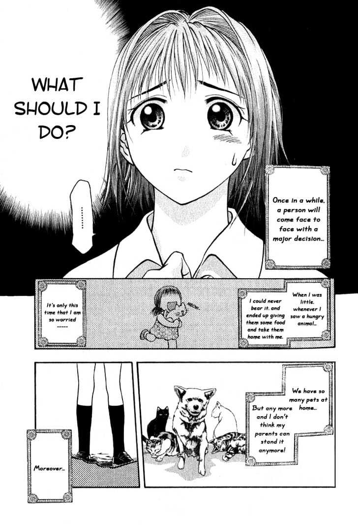 Addicted to Curry Chapter 1 page 8 - Chapter 1 : Angel Of Mine And Ground Beef Curry