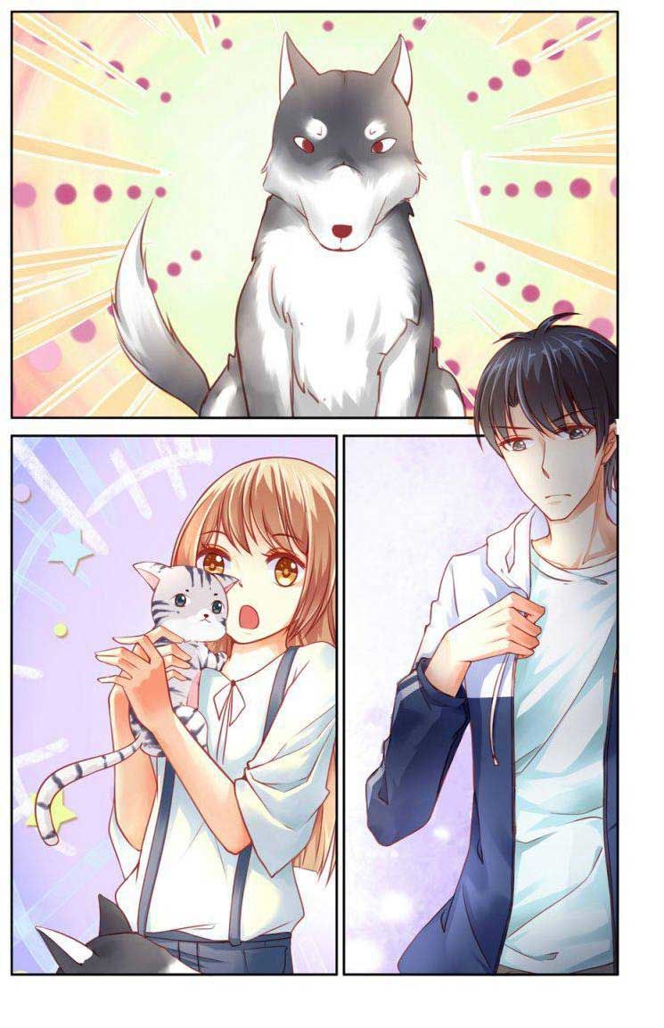 Adonis Next Door Chapter 31 page 1 - Chapter 31