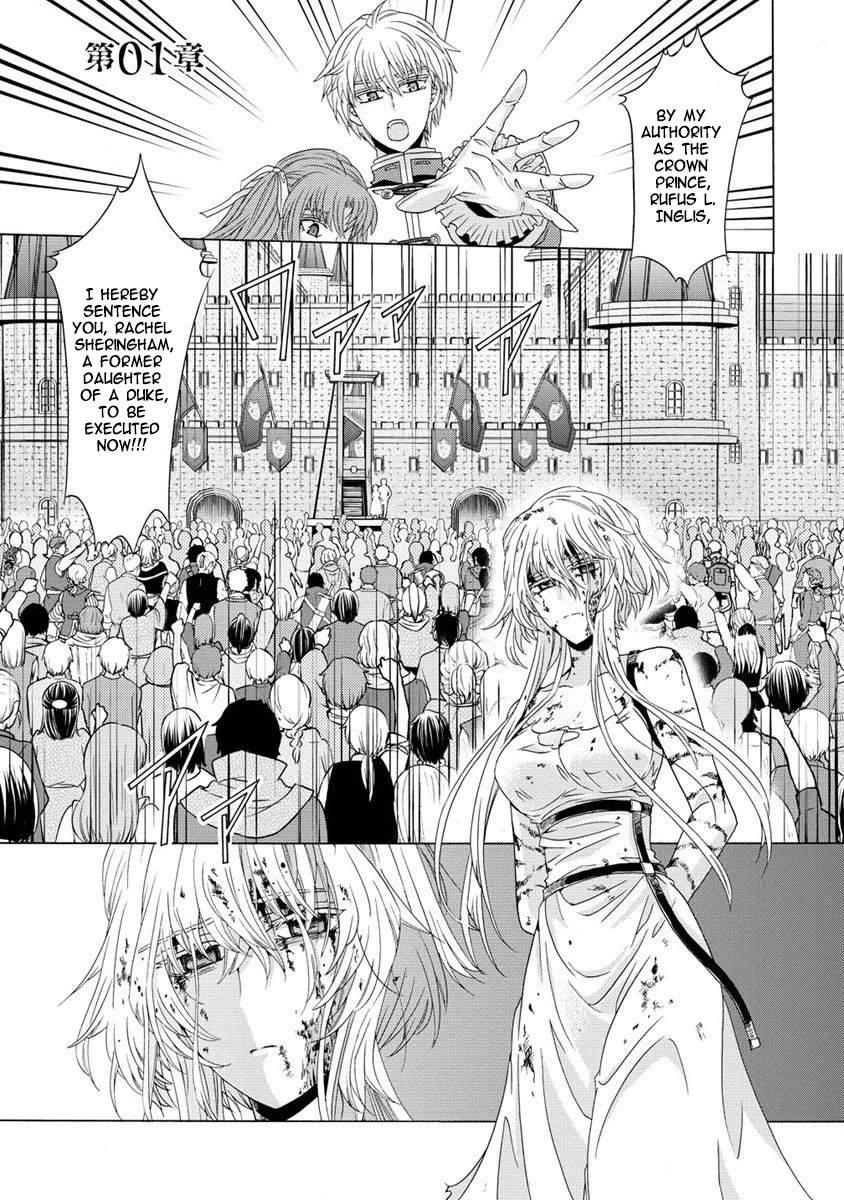 After Being Executed With the Words "Necromancers Are Disgusting," I Will Start My New Life as a Demon Chapter 1 page 1 - Chapter 1