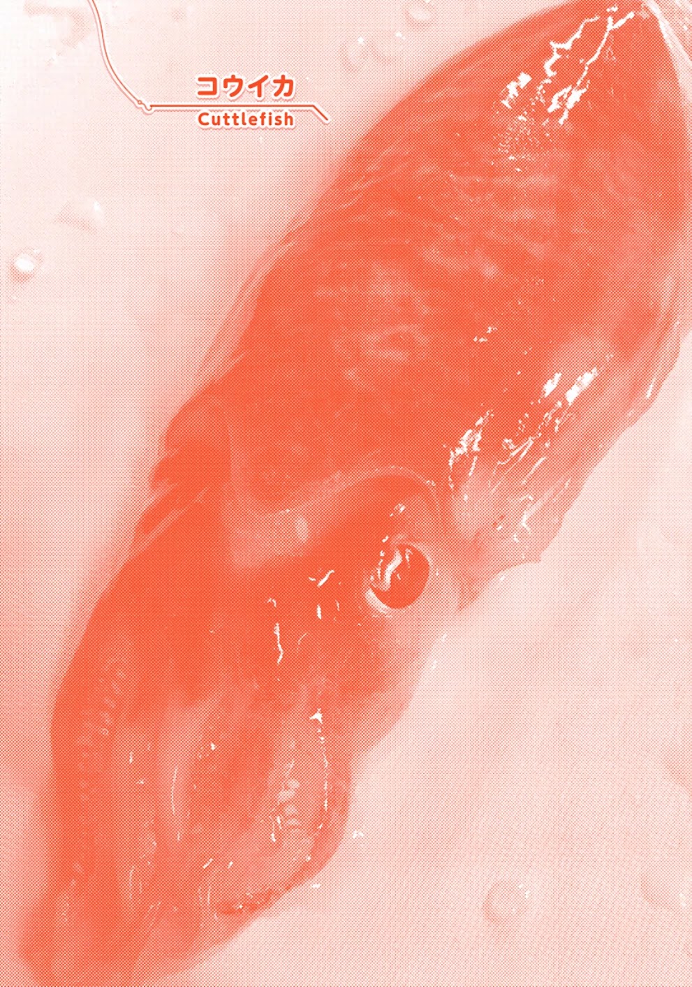 Afterschool Embankment Journal Chapter 19 page 29 - Chapter 19: Cuttlefish