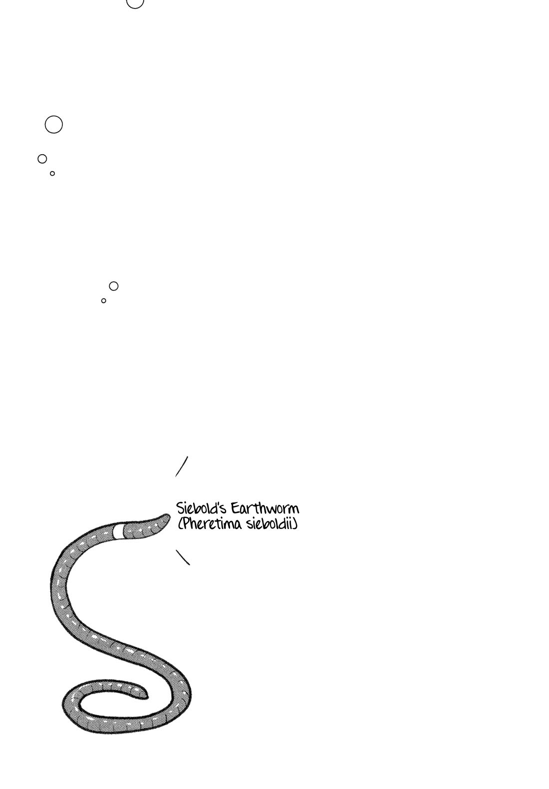 Afterschool Embankment Journal Chapter 54 page 32 - Chapter 54: River Fish
