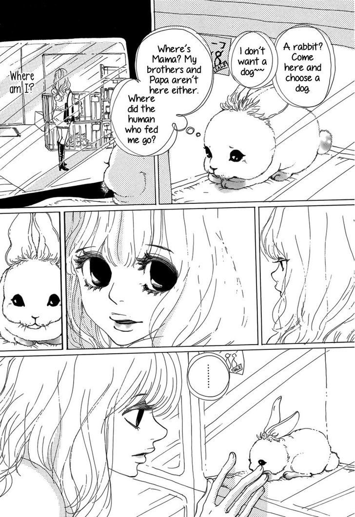 Ai no Tane (OSHIMA Akiko) Chapter 0 page 8 - Chapter 0
