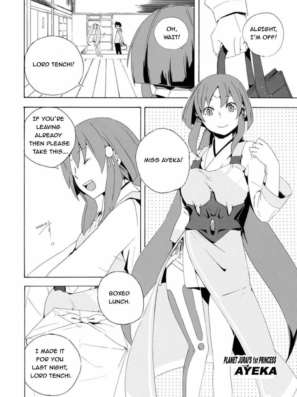 Ai Tenchi Muyo! Chapter 1 page 14 - Chapter 1: Tenchi's Arrival