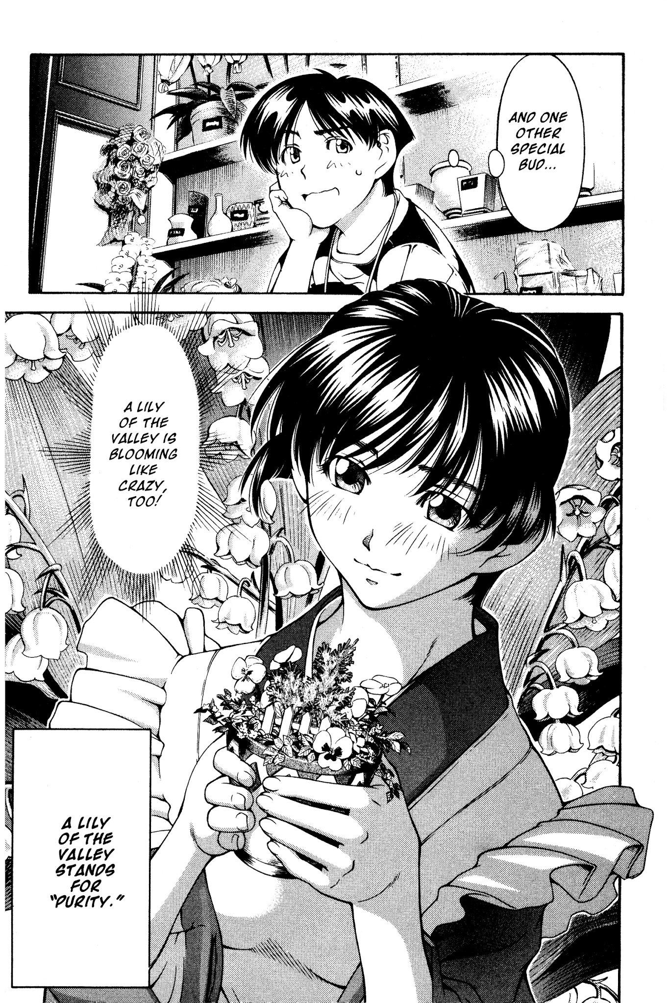 Ai Yori Aoshi Chapter 133.5 page 11 - Chapter 133.5: Hanakotoba - Language of Flowers