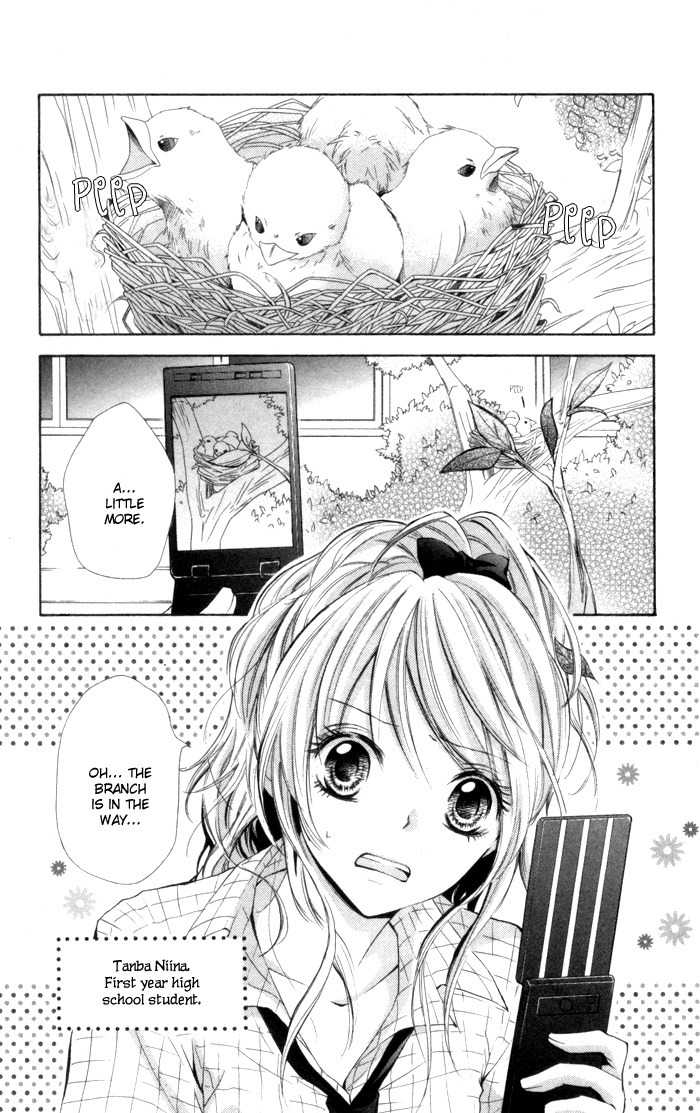 Air Koi Chapter 1 page 7 - Chapter 1: Air Koi